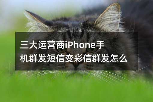 ӪiPhoneֻȺűȺô죿