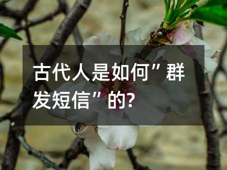 ŴΡȺš?