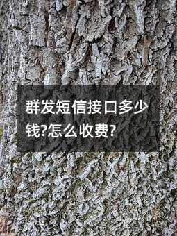 ȺŽӿڶǮ?ôշ?