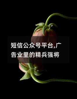 Źںƽ̨,ҵľǿ