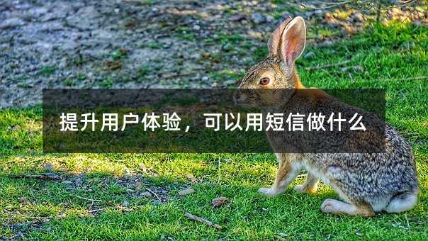 û飬öʲô
