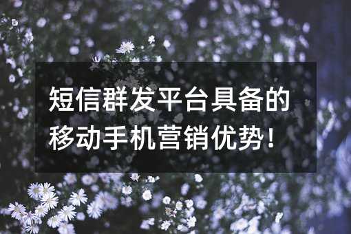 短信群发平台具备的移动手机营销优势!