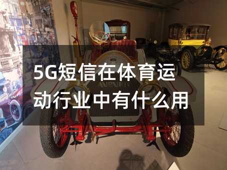 5G˶ҵʲô