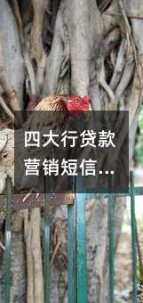 ĴдӪģ!