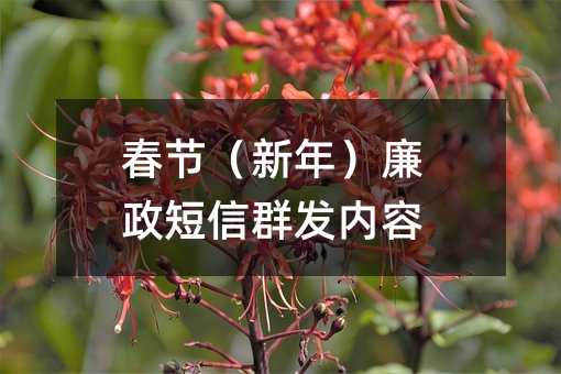 ڣ꣩Ⱥ