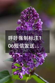 ǿƱע106ŷʵʵѾʵ