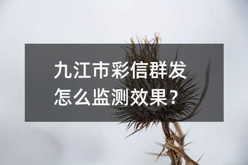 九江市彩信群发怎么监测效果?