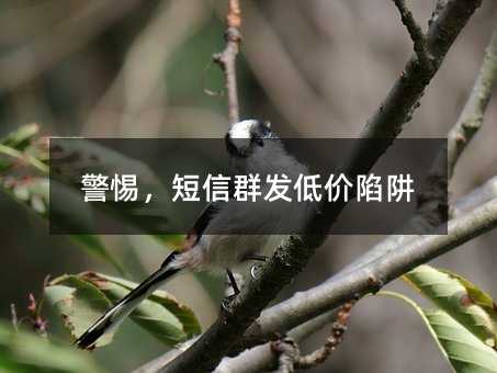 裬Ⱥͼ
