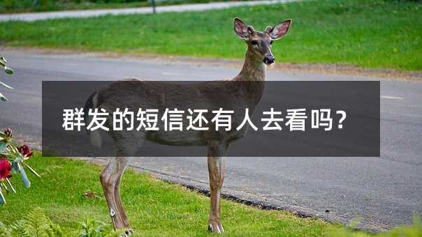 ȺĶŻȥ