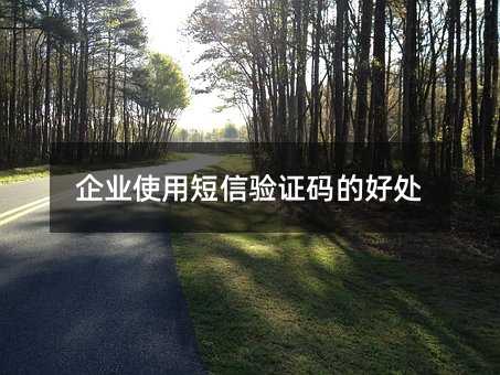 ҵʹö֤ĺô