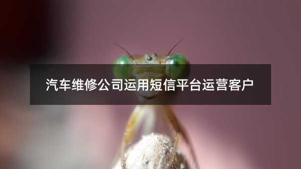 ά޹˾öƽ̨Ӫͻ