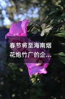 ڽ̻񳧵ҵƽ̨ƽ