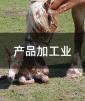 Ʒӹҵ