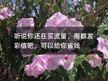 ˵㻹ȺŰɣԸʡǮ