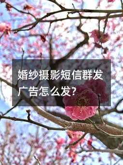 ɴӰȺô?