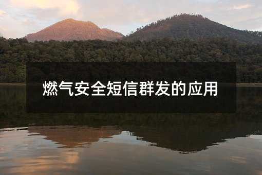 ȼȫȺӦ