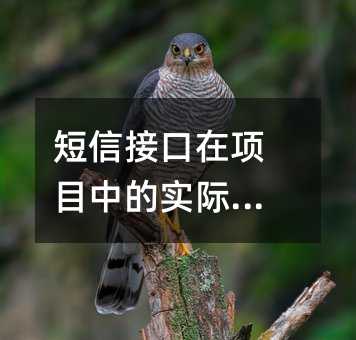 ŽӿĿеʵӦ