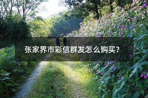 张家界市彩信群发怎么购买?