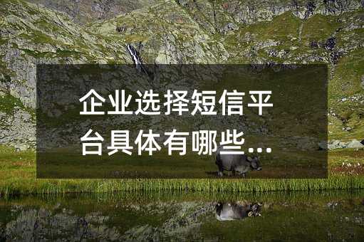 ҵѡƽ̨Щô