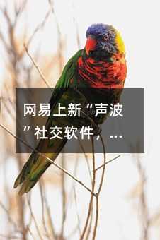 ¡罻˶Ųƽ̨