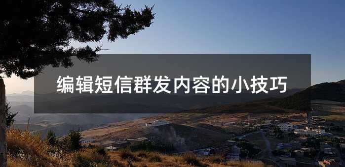 ༭ȺݵС