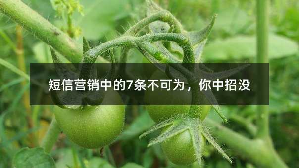 Ӫе7Ϊû