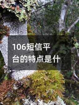 106ƽ̨صʲô?