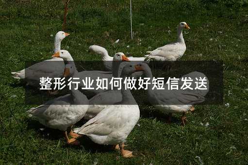 ҵöŷ