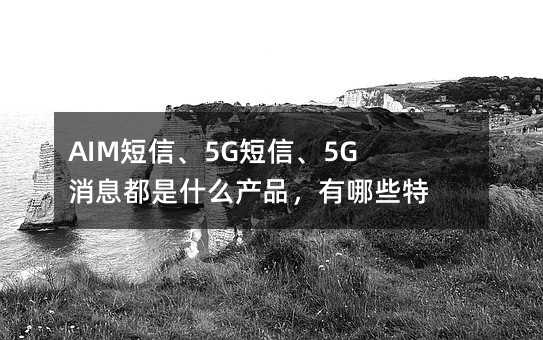 AIMš5Gš5GϢʲôƷЩص㣿