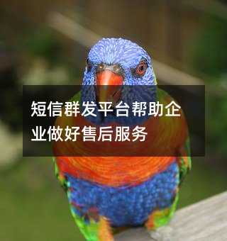 Ⱥƽ̨ҵۺ
