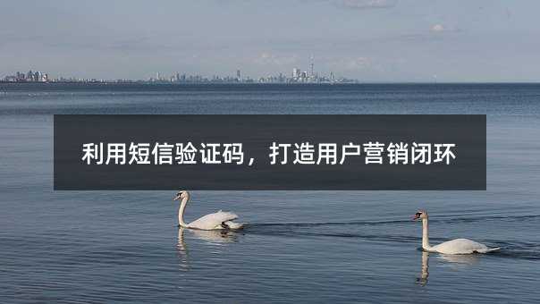 ö֤룬ûӪջ