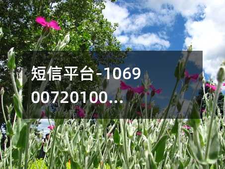 短信平台-1069007201001是什么短信平台?