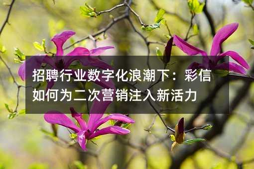 招聘行业数字化浪潮下:彩信如何为二次营销注入新活力