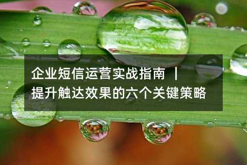 ҵӪʵսָ  Чؼ