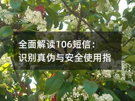 ȫ106ţʶα밲ȫʹָ