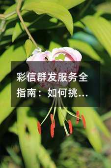 Ⱥȫָϣѡɿƽ̨Ƴɱ
