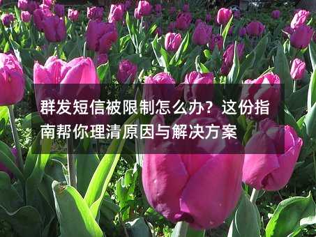 Ⱥűô죿ָϰԭ