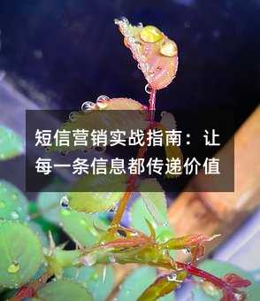 ӪʵսָϣÿһϢݼֵ