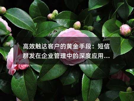 ЧͻĻƽֶΣȺҵеӦָ