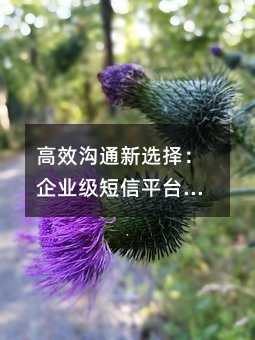 Чͨѡҵƽ̨ǻӦָ