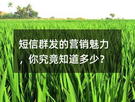 ȺӪ㾿֪٣