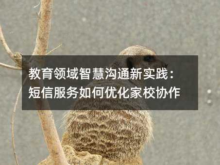 ǻ۹ͨʵŷŻУЭ