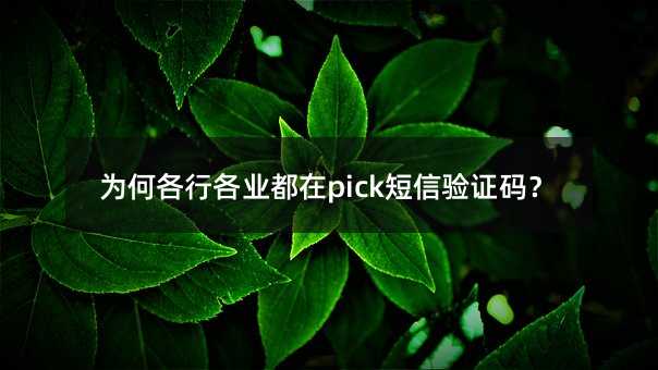Ϊθиҵpick֤룿