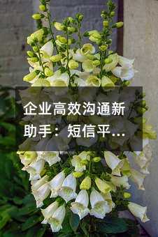 ҵЧ֣ͨƽ̨ĶೡӦʵ