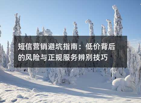 短信营销避坑指南:低价背后的风险与正规服务辨别技巧