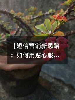 Ӫ˼·ķͻ顿