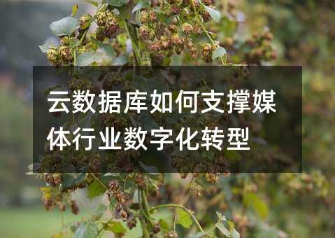 �����ݿ����֧��ý����ҵ���ֻ�ת��