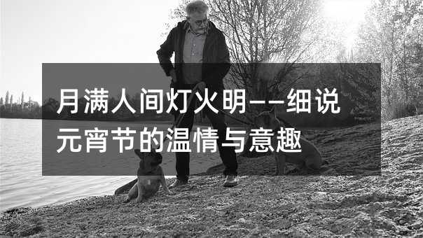 �����˼�ƻ�������ϸ˵Ԫ���ڵ���������Ȥ