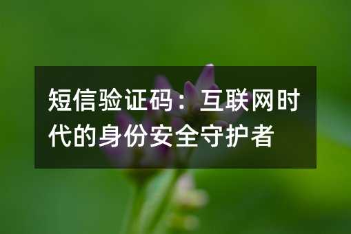 ֤룺ʱݰȫػ