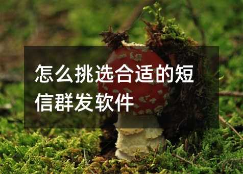 ôѡʵĶȺ